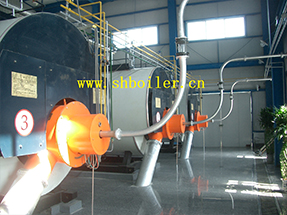 WNS SERIES PULVERIZED COAL BOILER